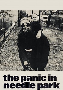 The Panic in Needle Park - watch streaming online