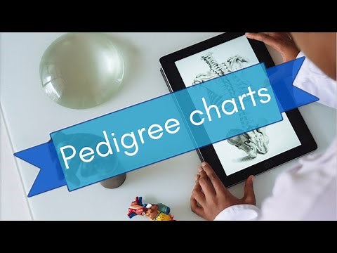 Pedigree Chart Analysis and genetic inheritance patterns