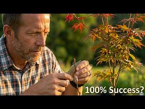 This grafting method works on ANY tree 🍁