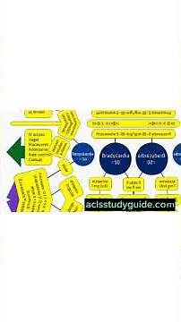 ✅ACLS Airway Skills: OPA, Gag Reflex & Bag-Mask Explained