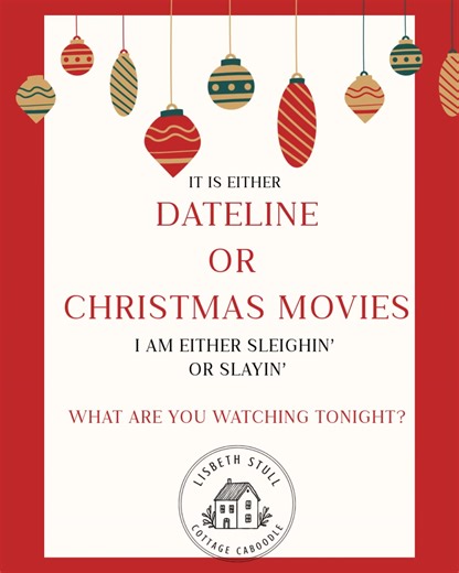 It’s that time of year where my TV has two settings… 🎄 Christmas movies with twinkly lights and hot cocoa 🔍 Dateline with dramatic pauses and “They never saw it coming…” I am either sleighin’ or slayin’ and there is no in-between. Tell me which camp you’re in tonight 👇 🎅 or 🕵️‍♀️ | Cottage Caboodle - Lisbeth Stull