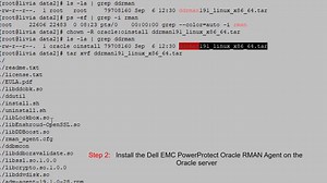 Como instalar e configurar o Oracle Server para o agente do Oracle RMAN do Dell EMC PowerProtect