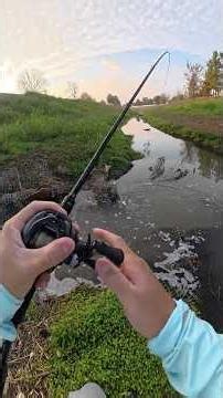 I Found A Ditch Spillway INFESTED With Fish…(INSANE)