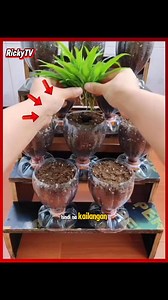984K views · 10K reactions | DIY flowerpot plastic bottle #diyflowerpot #handmadeflowerpot #creative #highlightseveryonefollowers #highlighteveryone #highlight | Ricky Limulong | Facebook