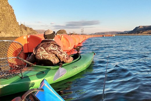 How To Catch Lake Whitefish In Washington State • Fishing Duo