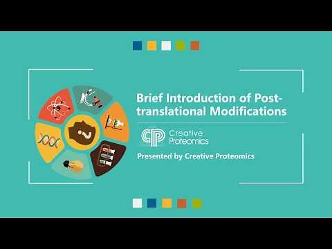 Brief introduction of post-translational modifications (PTMs)