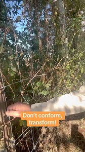 122K views · 2.6K reactions | This old t-post here we put up about 40...