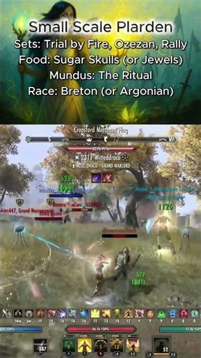 This Build Made Me Unstoppable in ESO Duos! 🌸