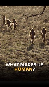 With thousands of history, science, nature, & technology shows on demand, it's time to get curious. Start your free trial today. | Curiosity Stream