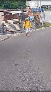 Un Tapirulazo... | Chuchito Guanaco