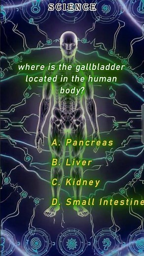 Where Is the Gallbladder Located in the Human Body? | Human Anatomy Explained#GallbladderLocation