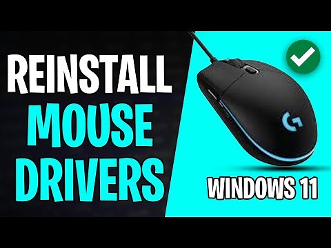 How to Reinstall Mouse Drivers in Windows 11 Laptop or PC (2026)