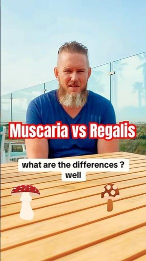 Differences between Amanita muscaria & Amanita regalis.