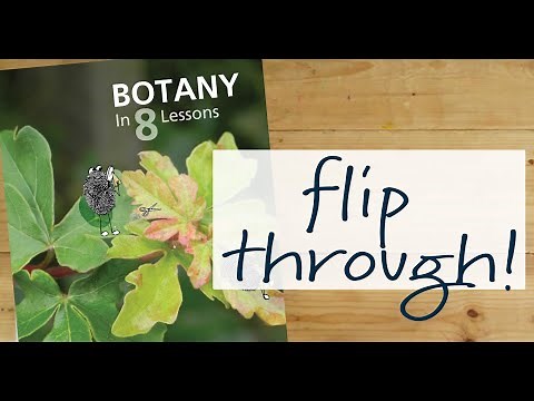 Botany in 8 Lessons | Ellen McHenry Science for Middle School