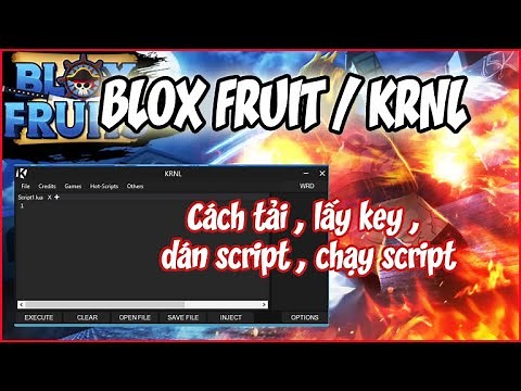 [ROBLOX] Cách tải KRNL , lấy Key , Update KRNL và sử dụng Script HACK BLOX FRUIT