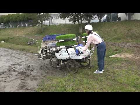 【作業映像】ISEKI 田植機 さなえ PQZ45K (クランク式)