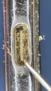 92K views · 1K reactions | #satisfying phone #cleaning at #phonefixcraft | Phone Fix Craft | Facebook