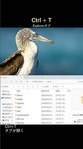 【Ctrl+T】Explorerでブラウザみたいにタブを開く