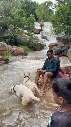 73K views · 148 reactions | Irala Jilledubugga Waterfalls just 70km from Tirupati #water #waterfall #waterfalls #irala #jilledubuggawaterfalls #exclent #pure #nature #air #purewater #tirupati #tirumala #tirupathi #ttd #tirumalatirupatidevasthanam #tirumalahills #tirupatibalaji #lordbalaji #govinda #govindagovinda #omnamonarayanaya #govindarajaswamytemple #reels #trending #viralvideo #virals #facebookvideo #facebookpost #trendingvideo #ssd | TimesofTirupati T T | Facebook