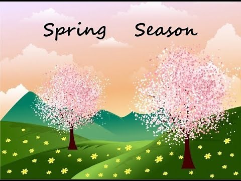 Spring Season for Kids | Introduction to Spring Season | Kids Learning