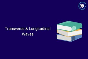Transverse & Longitudinal Waves: Definition, Examples & Differences