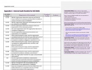 Internal Audit Checklist [ISO 45001 documents]