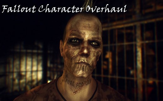 Fallout Character Overhaul для Fallout New Vegas