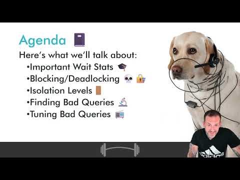 Introducing My SQL Server Performance Engineering Course