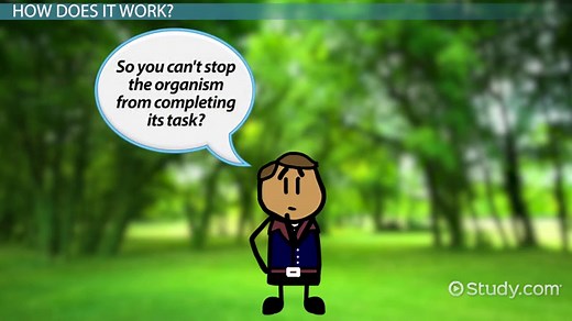 You must c C reate an account to continue watching