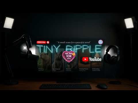 “Wind Goddess • Four Seasons 24/7 Relaxing Ambience | Rain • Snow • Petals • Wind ASMR”