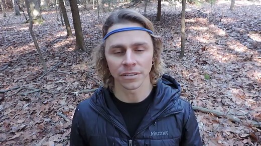 22 Trees That Can Be Tapped For Sap And Syrup