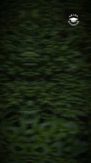 DOFGK T1✨ #gradshandmade #graduationcap | Grads Handmade - SG | Facebook