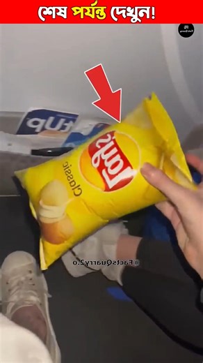 Why Chip Packets Are Filled With Air