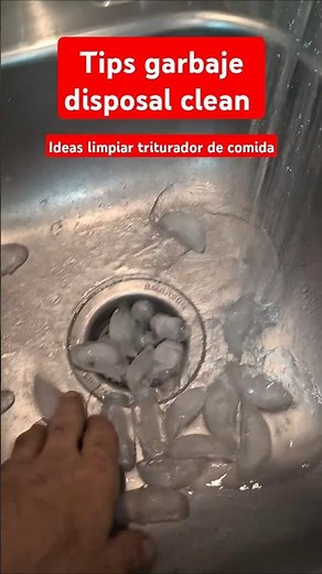 How To Clean Your Garbage Disposal (TESTED)
