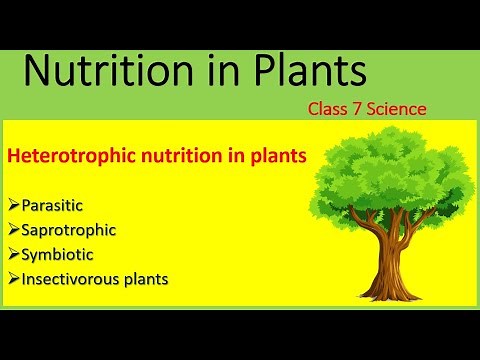 Nutrition in plants | Mode of nutrition | Heterotrophic Nutrition | Class 7 Science | 2020