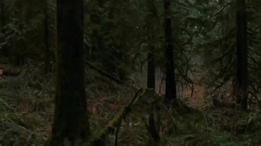 @_bella__cullen__ @_edward_cullen__ #twilight #bella #edward #alice #cullen #vampire #съёмки