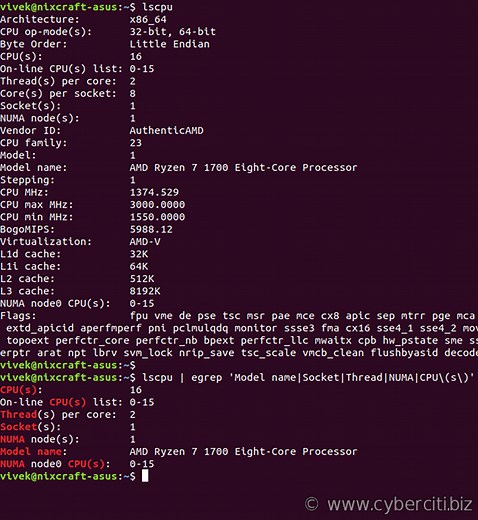 How to check how many CPUs are there in Linux system