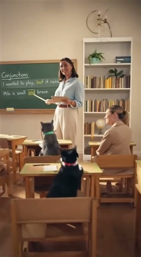 Cats are doing Conjunction activity