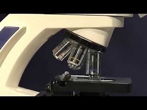 Microscope