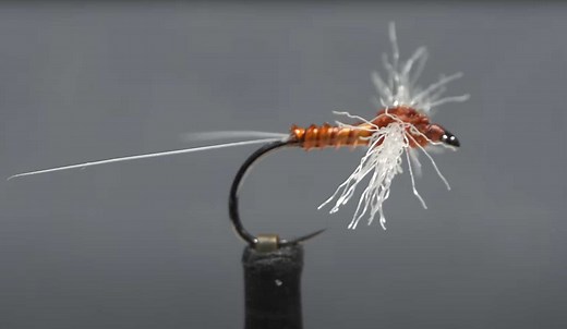 How to Tie a Rusty Spinner | MidCurrent