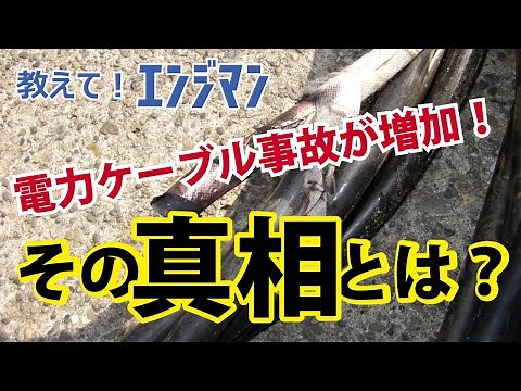 電気絶縁劣化総合診断（EIC）①