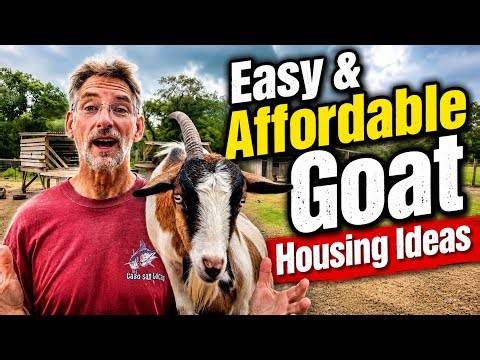 Easy & Affordable Goat Housing Ideas! 🐐