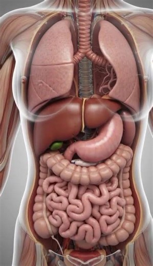 “Inside Your Body… But You’ve Never Seen It Like This 👁️”