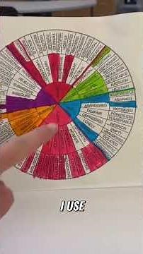 The Emotions Wheel: Understanding Our Feelings