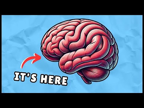 What is Executive Functioning? (Easy 4 Minute Explanation)