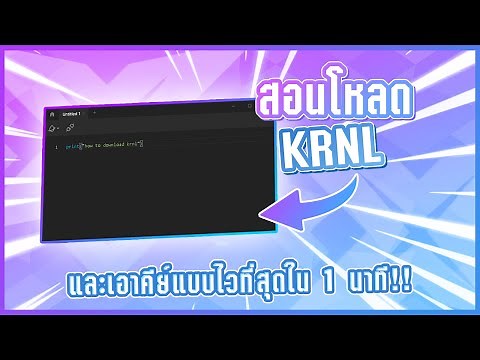 ✅ สอนโหลด KRNL และสอนรันกับสคริปต์ Xenon Hub