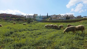 19 shares · 3 comments | Ever wondered where Jesus walked, taught,...