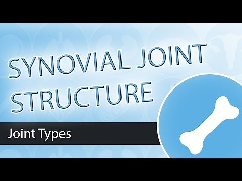 Synovial Joints