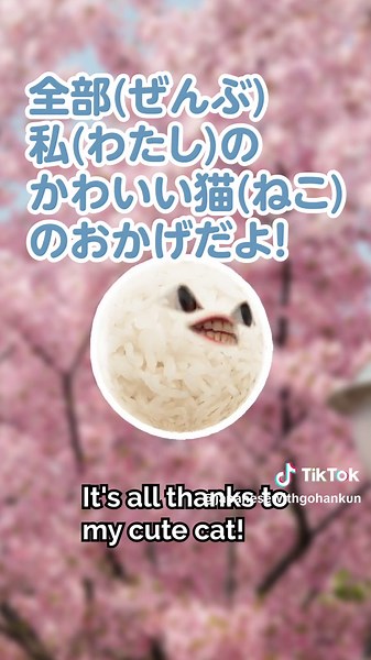 Quick Japanese Lesson! - 丸くなる #japan #japanese #learnjapanese #studyjapanese #japaneseculture #fyp