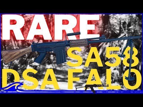 Ya Don't See These EVERYDAY! | DS ARMS FALO RIFLE